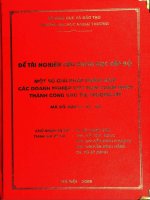 Một số giải pháp nhằm giúp các doanh nghiệp việt nam thâm nhập thành công vào thị trường mỹ 