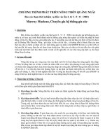 Tài liệu CHƯƠNG TRÌNH PHÁT TRIỂN NÔNG THÔN QUẢNG NGÃI pdf