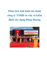 Tài liệu Phân tích tình hình tài chính công ty TNHH tư vấn và kiểm định xây dựng đông dương doc