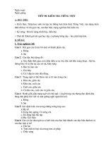 Bài soạn t90 kiểm tra tiếng Việt