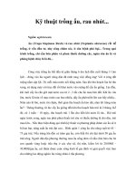 Tài liệu Kỹ thuật trồng ấu, rau nhút... pptx