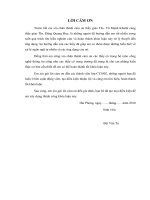 GIỚI THIỆU NGÔN NGỮ VB 6 0 