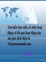 Tìm hiểu bản chất, tổ chức hoạt  động và kết quả hoạt động của sàn giao dịch điện tử Vietnamesemade