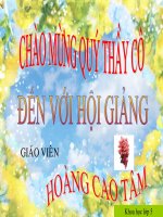 Bài giảng CHẤT DẺO