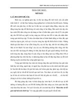 Bài giảng Sáng kiến kinh nghiệm cấp tỉnh