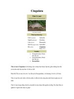 Tài liệu Bộ Tê Tê docx