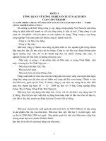 Công nghệ sản xuất gạch men Việt - Ý