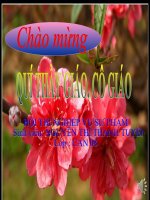 Gián án bai giang tiet 19 lop 6