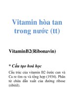 Tài liệu Vitamin hòa tan trong nước (VitaminB2) docx