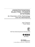 Understanding electric power systems 