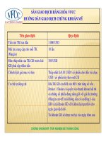 HUONG DAN GIAO DICH CHUNG KHOAN MY 