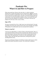 Tài liệu What it is and How to Prepare pdf