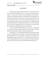 13 chuyen de tot nghiep hoạt động NK ở cty MESCO 