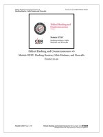 CEHv6 module 35 hacking routers, cable modems, and firewalls 