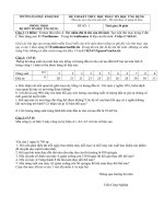 Tài liệu ĐỀ THI KẾT THÚC HỌC PHẦN TIN HỌC ỨNG DỤNG (Đề số 1) pptx