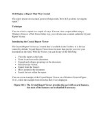 Tài liệu Display a Report That was Created docx