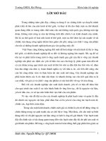 Hoàn thiện công tác kế toán nguyên vật liệu tại công ty cổ phần bao bì bia rượu nước giải khát 