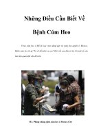 Tài liệu Những Điều Cần Biết Về Bệnh Cúm Heo pptx