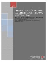 CHÍNH SÁCH MÔI TRƯỜNG VÀ CHÍNH SÁCH THƯƠNG MẠI TOÀN CẦU