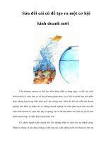 Tài liệu Sửa đổi cái cũ để tạo ra một cơ hội kinh doanh mới ppt