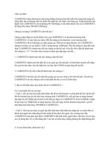 Tài liệu Cách kiếm tiền qua mạng pdf