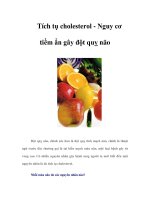 Tài liệu Tích tụ cholesterol - Nguy cơ tiềm ẩn gây đột quỵ não docx