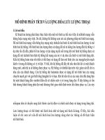 LƯỢNG hóa lưu LƯỢNG THOẠI 