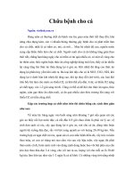 Tài liệu Chữa bệnh cho cá doc