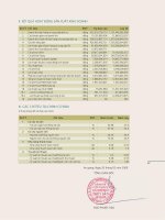 Tài liệu CTy Thủy Sản An Giang - Báo cáo thường niên 2008 ( Tiếng Anh) pdf