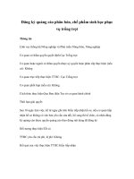 Tài liệu Đăng ký quảng cáo phân bón, chế phẩm sinh học phục vụ trồng trọt doc