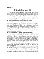 Tài liệu Chương 11: Di truyền học quần thể ppt