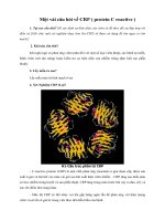 Tài liệu Một vài câu hỏi về CRP ppt