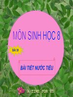 Bài soạn Bài tiết nước tiểu