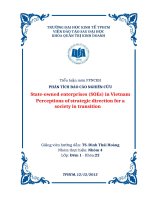 PHÂN TÍCH báo cáo NGHIÊN cứu state owned enterprises (SOEs) in vietnam perceptions of strategic direction for a society in transition 