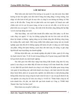 Hoàn thiện công tác kế toán doanh thu, chi phí, xác định kết quả kinh doanh tại công ty TNHH một thành viên vận tải mai linh 