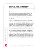 Tài liệu LoopStar® SONET Access System Cell Site Backhaul Aggregation and Transport pdf