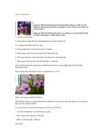 Tài liệu Hoa Mini Dendrobium ppt