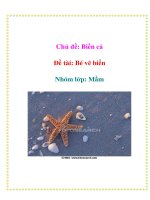 Tài liệu Chủ đề: Biển cả - Đề tài: Bé vẽ biển - Nhóm lớp: Mầm doc