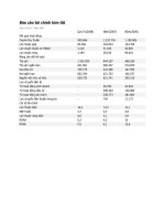 Tài liệu CTy Thủy Sản An Giang - một số báo cáo và so sánh tài chính ppt