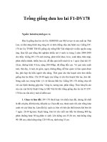 Tài liệu Trồng giống dưa leo lai F1-DV178 pptx