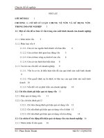 Một số giải pháp nhằm nâng cao hiệu quả sử dụng vốn tại công ty cổ phần xây dựng số 2 quảng ninh 