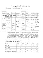 phân tích các tỷ số tài chính công ty VTC gai đoạn 2009 2012 