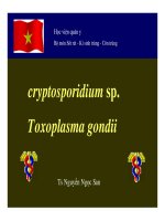 Tài liệu Trùng bao tử Cryptosporidium sp. Toxoplasma gondii pdf