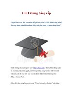 Tài liệu CEO không bằng cấp docx