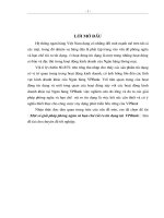 Một số giải pháp phòng ngừa và hạn chế rủi ro tín dụng tại VPBank 