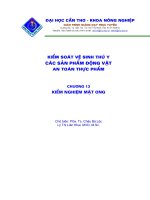 Tài liệu Kiểm soát vệ sinh an toàn thực phẩm P13 pdf