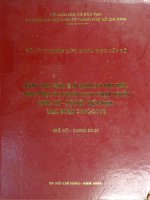 Nâng cao hiệu quả quản lý chi tiêu công phục vụ chiến lược phát triển kinh tế xã hội việt nam giai đoạn 2001   2010 