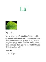 Tài liệu Tự nhiên,sinh học,cuống,quang hơp,lục lạp,thoát hơi nước ppt