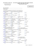 Tài liệu Đề thi chính thức kỳ thi tốt nghiệp THPT 2010 môn tiếng Pháp - Hệ 3 năm (Mã đề thi 160) docx