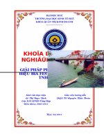 Giải pháp phát triển thương hiệu bia festival của công ty trách nhiệm hữu hạn bia huế 